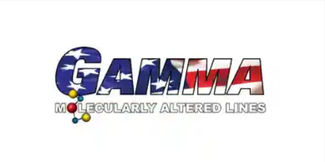 gamma/usabass